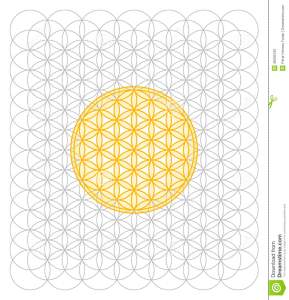 It's All About Circles